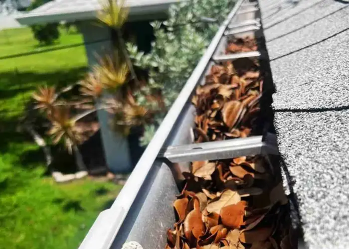 Grant gutter cleaning home page